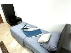 The Huntington (D11), Apartment #504520481